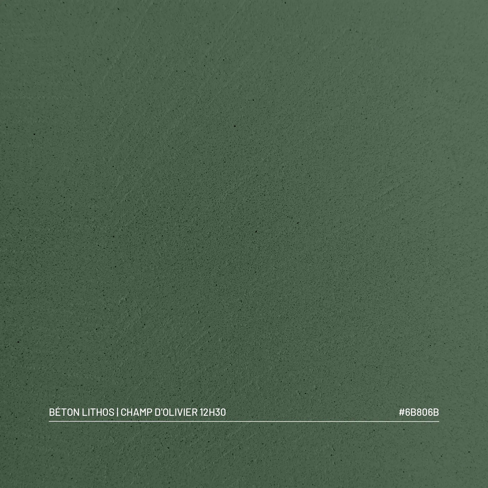 Kit Béton Lithos | CHAMP D'OLIVIER