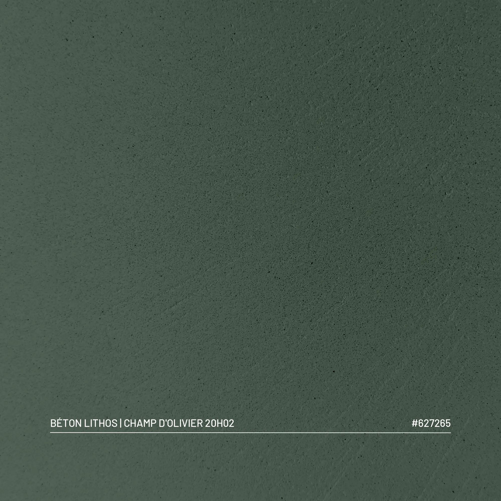 Kit Béton Lithos | CHAMP D'OLIVIER