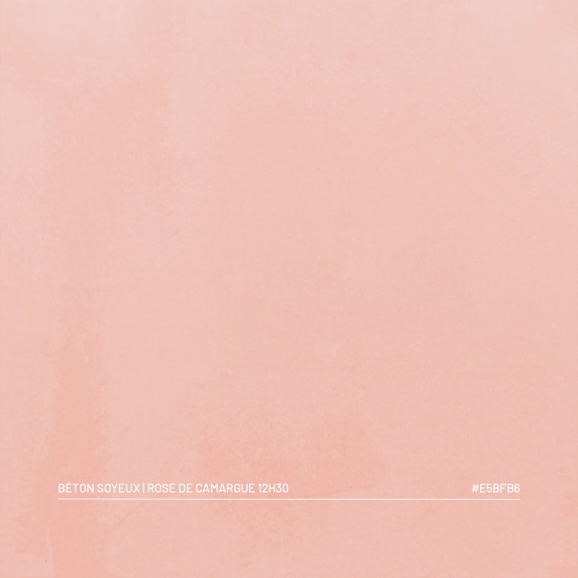 Échantillon béton ciré soyeux Rose de Camargue à 12H30, teinte rose poudré velours, palette Franck & Ben