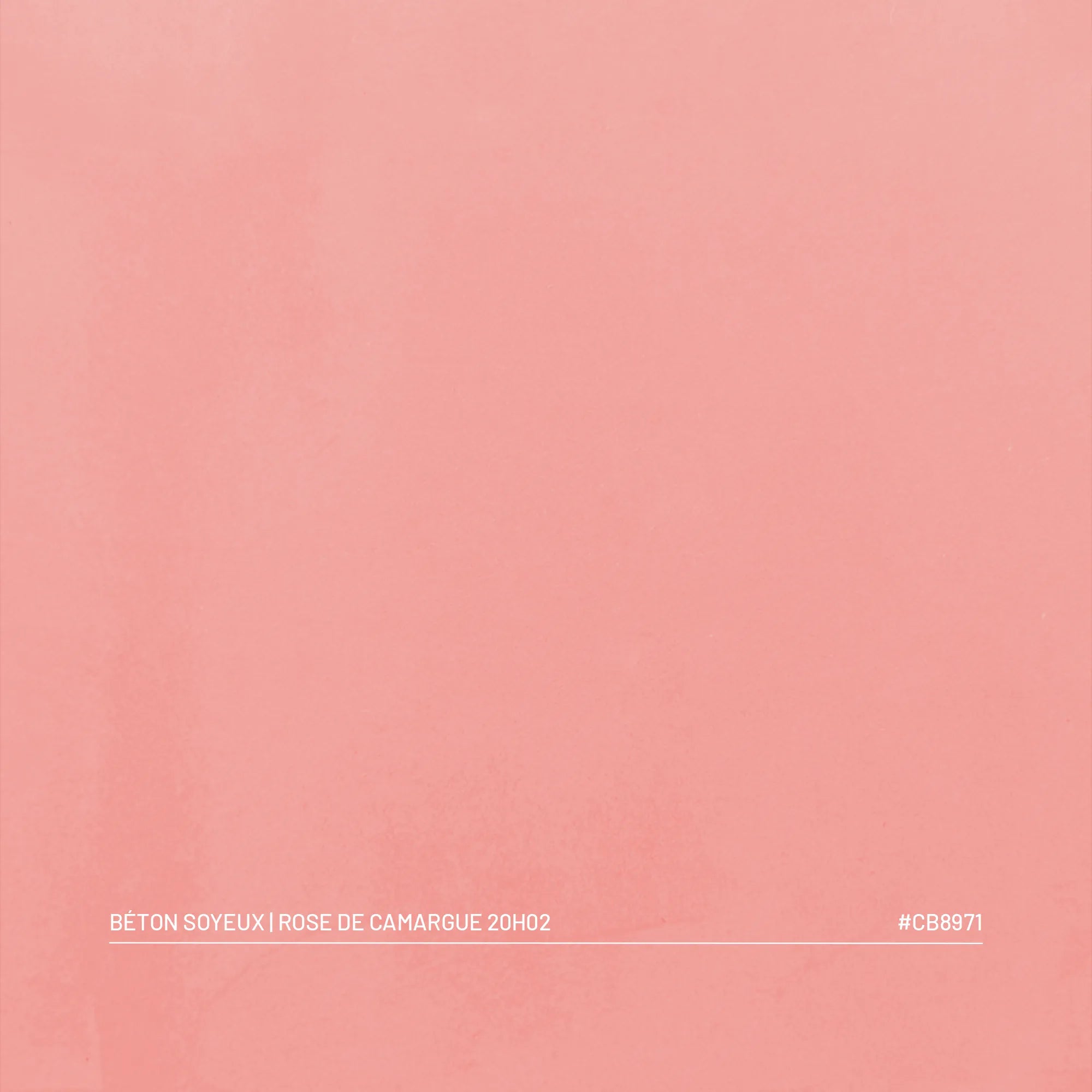 Échantillon béton ciré soyeux Rose de Camargue, teinte rose poudré velours, palette Franck & Ben