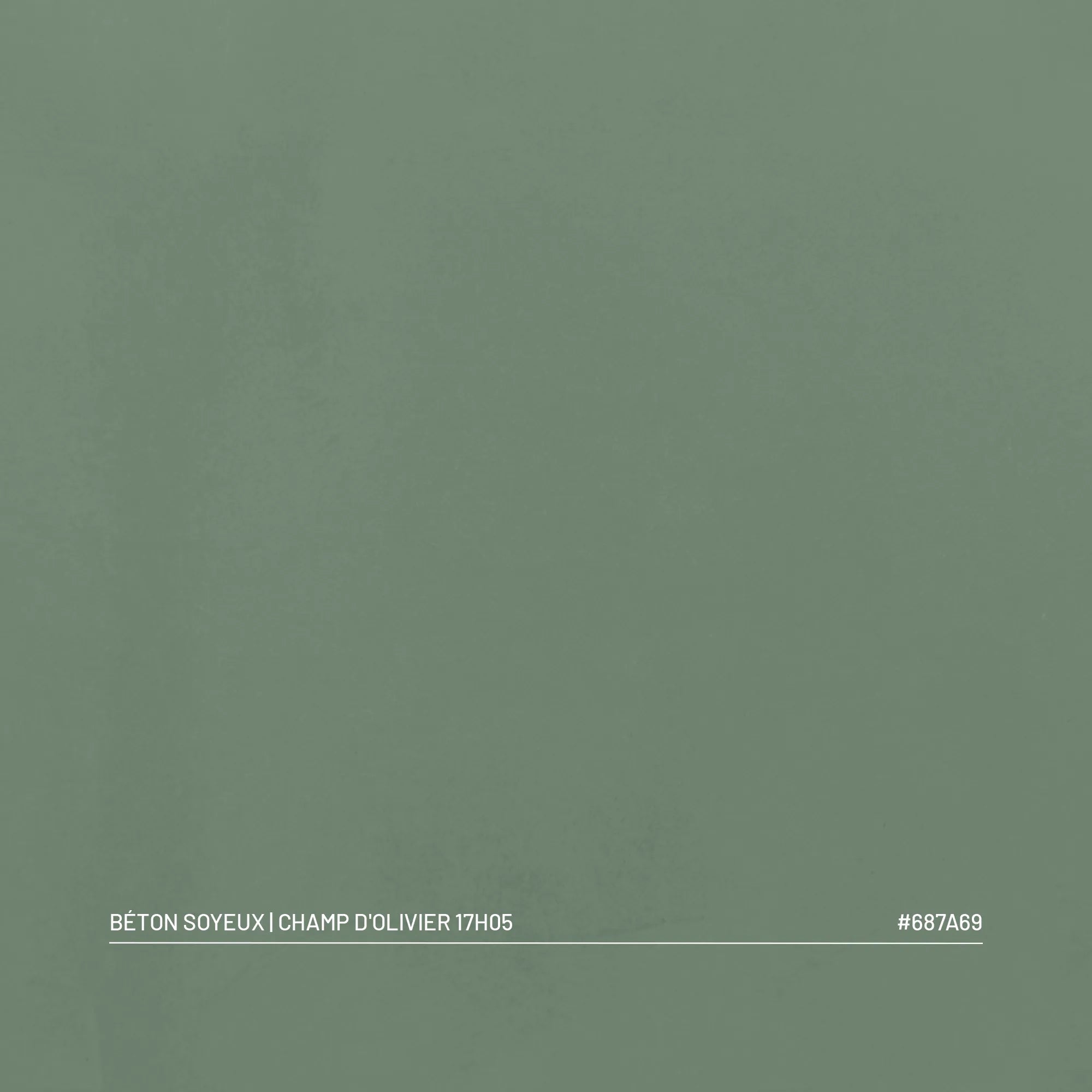 Kit Béton Soyeux | CHAMP D'OLIVIER
