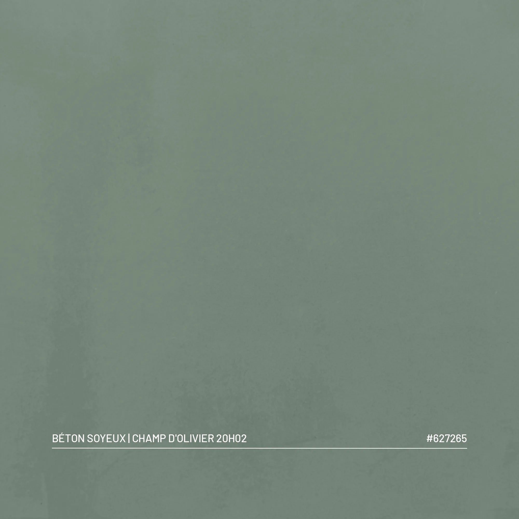 Kit Béton Soyeux | CHAMP D'OLIVIER