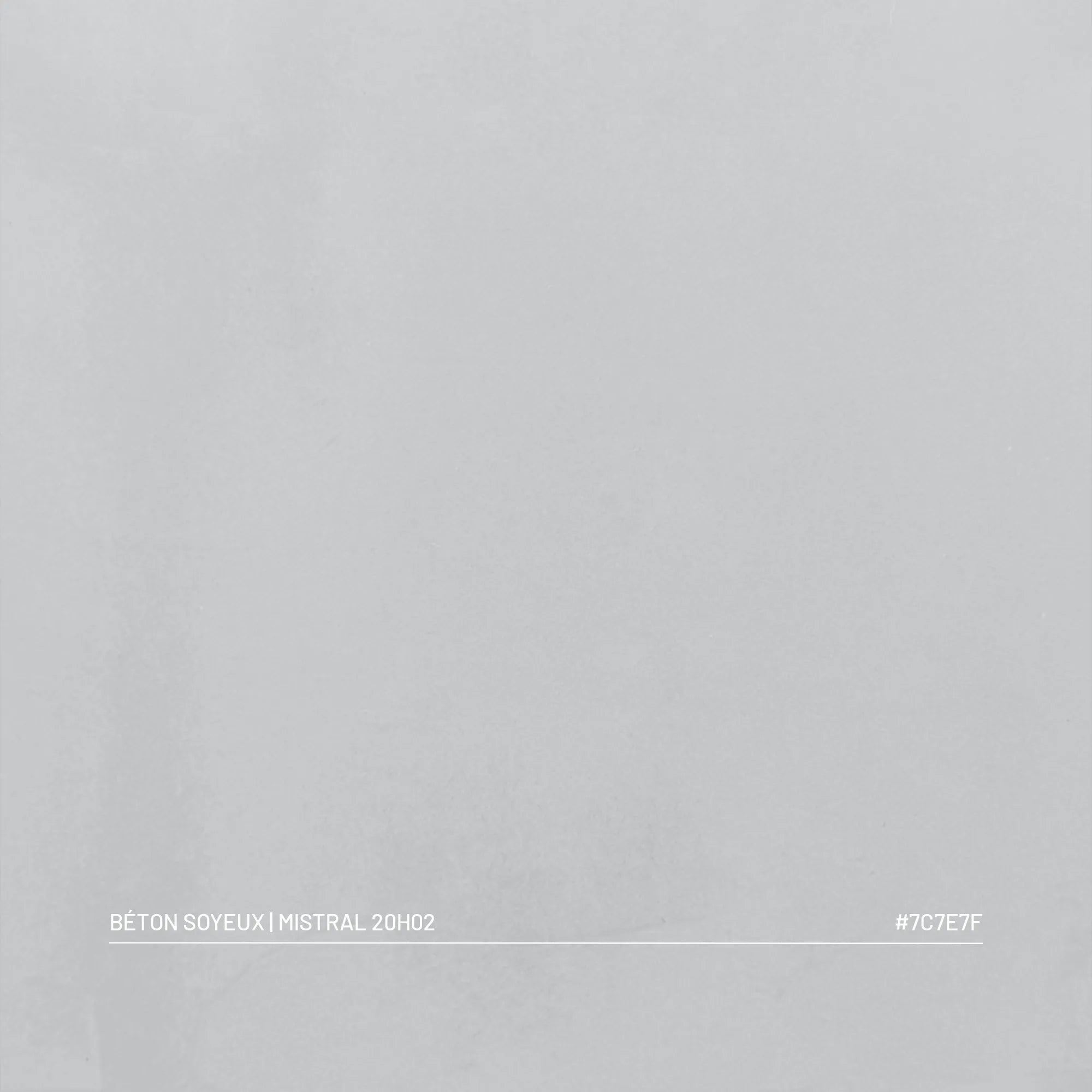 Échantillon béton ciré soyeux Mistral, finition velours mate, palette Franck & Ben Provence