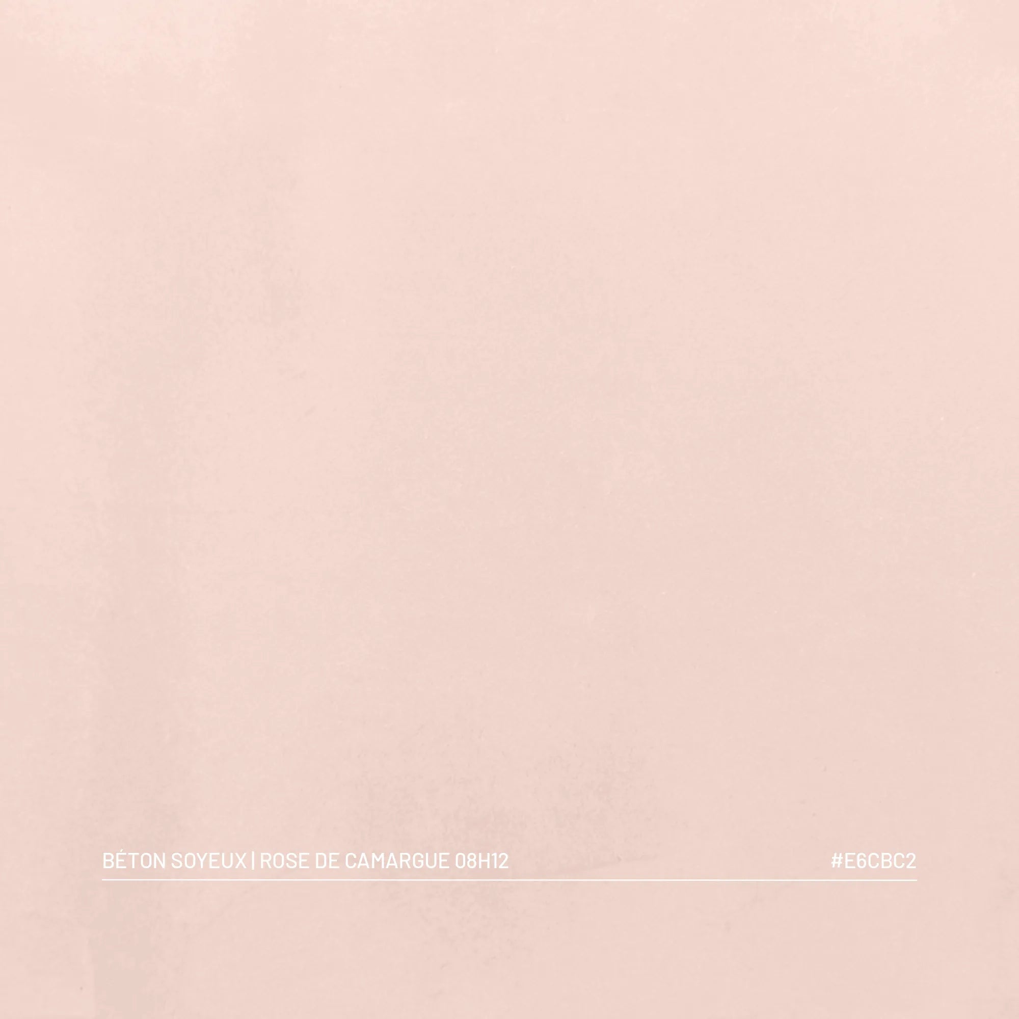 Kit Béton Soyeux | ROSE DE CAMARGUE