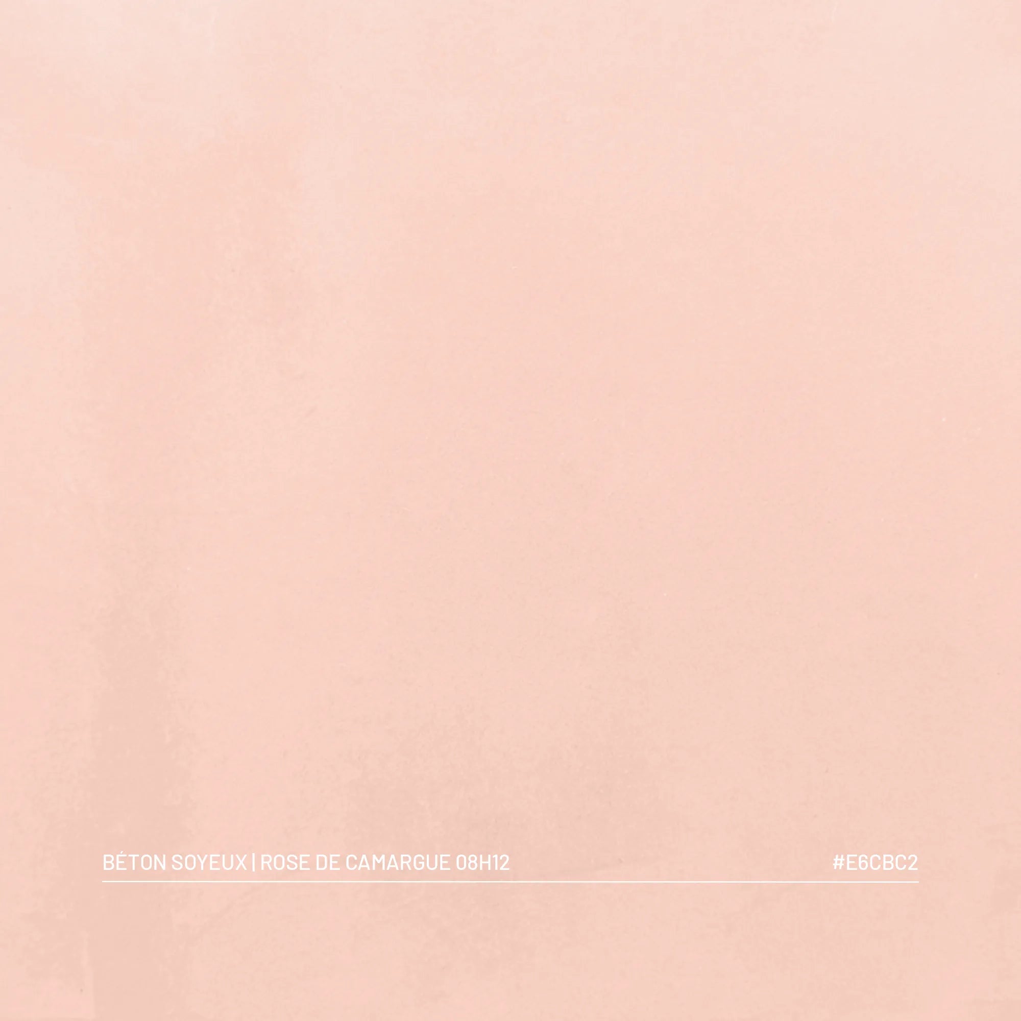 Échantillon béton ciré soyeux Rose de Camargue à 08H12, teinte rose poudré velours, palette Franck & Ben