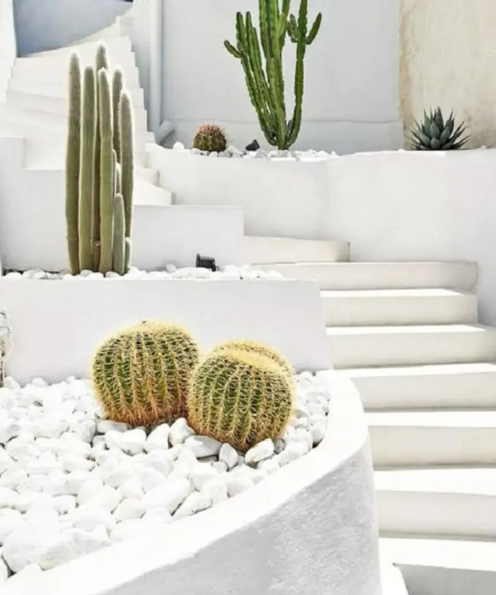 Vos extérieurs en matières minérales, inspiration Le Jardin des Matières
