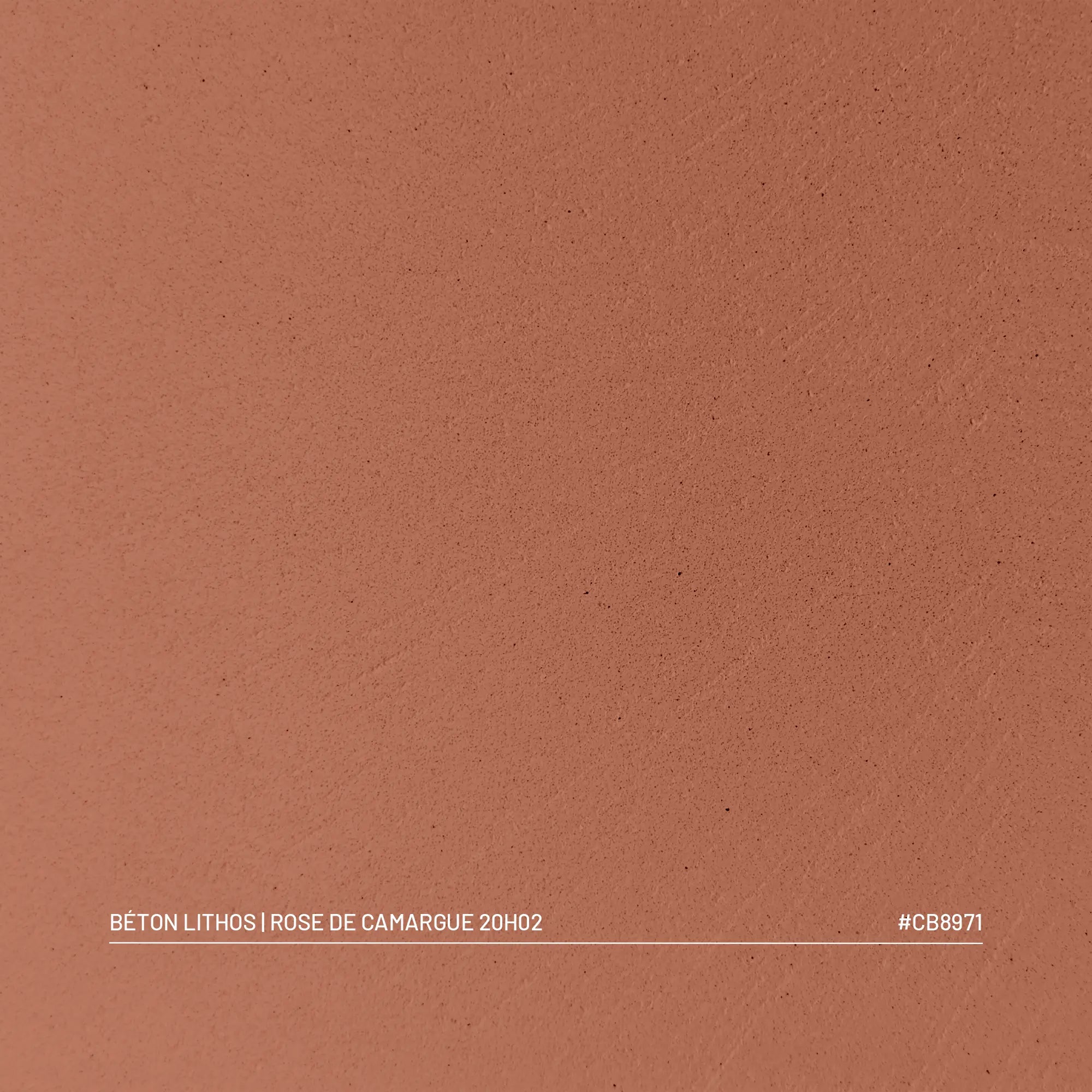 Kit Béton Lithos | ROSE DE CAMARGUE