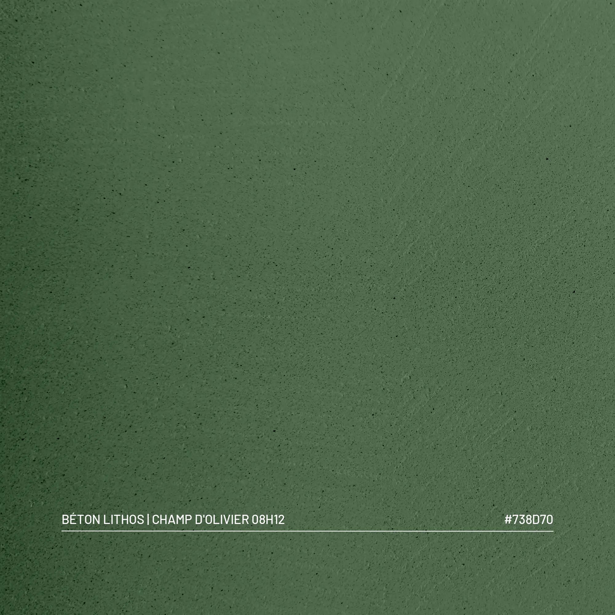 Kit Béton Lithos | CHAMP D'OLIVIER