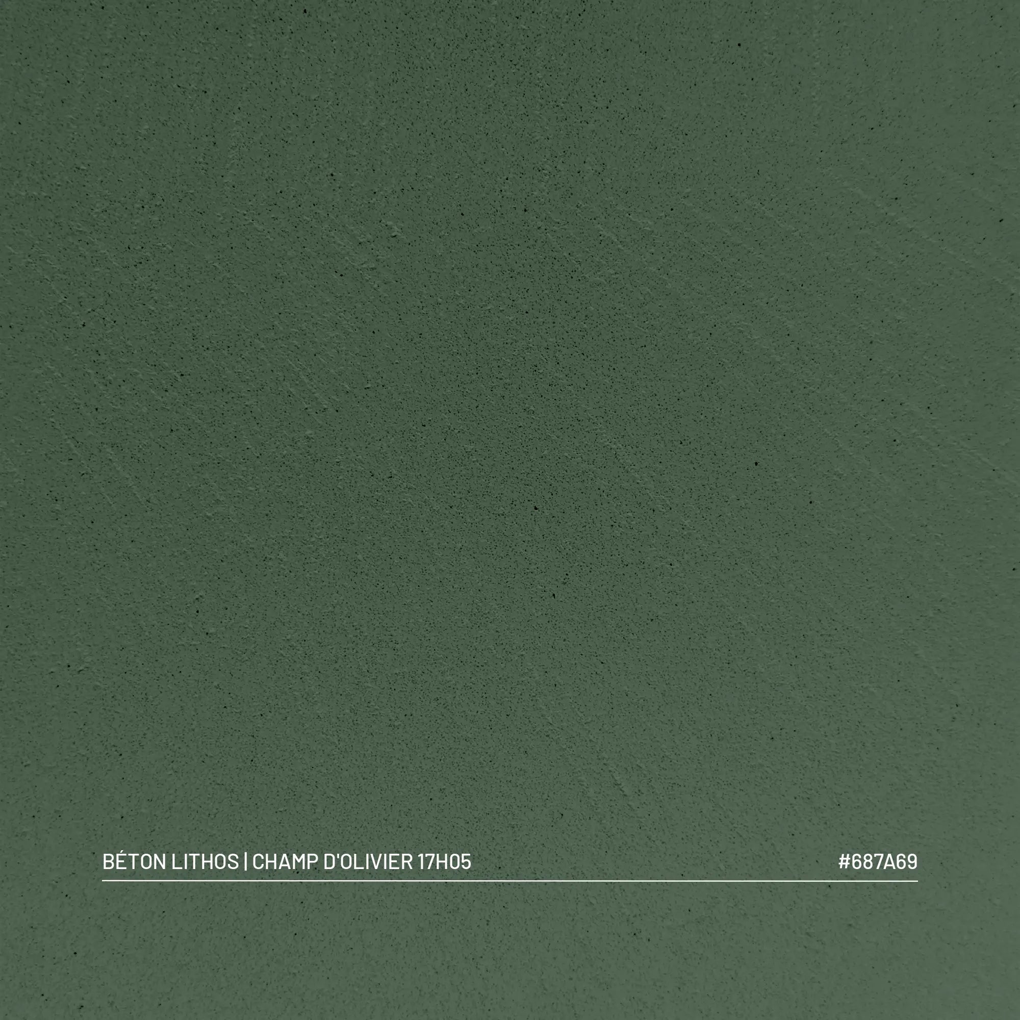 Kit Béton Lithos | CHAMP D'OLIVIER