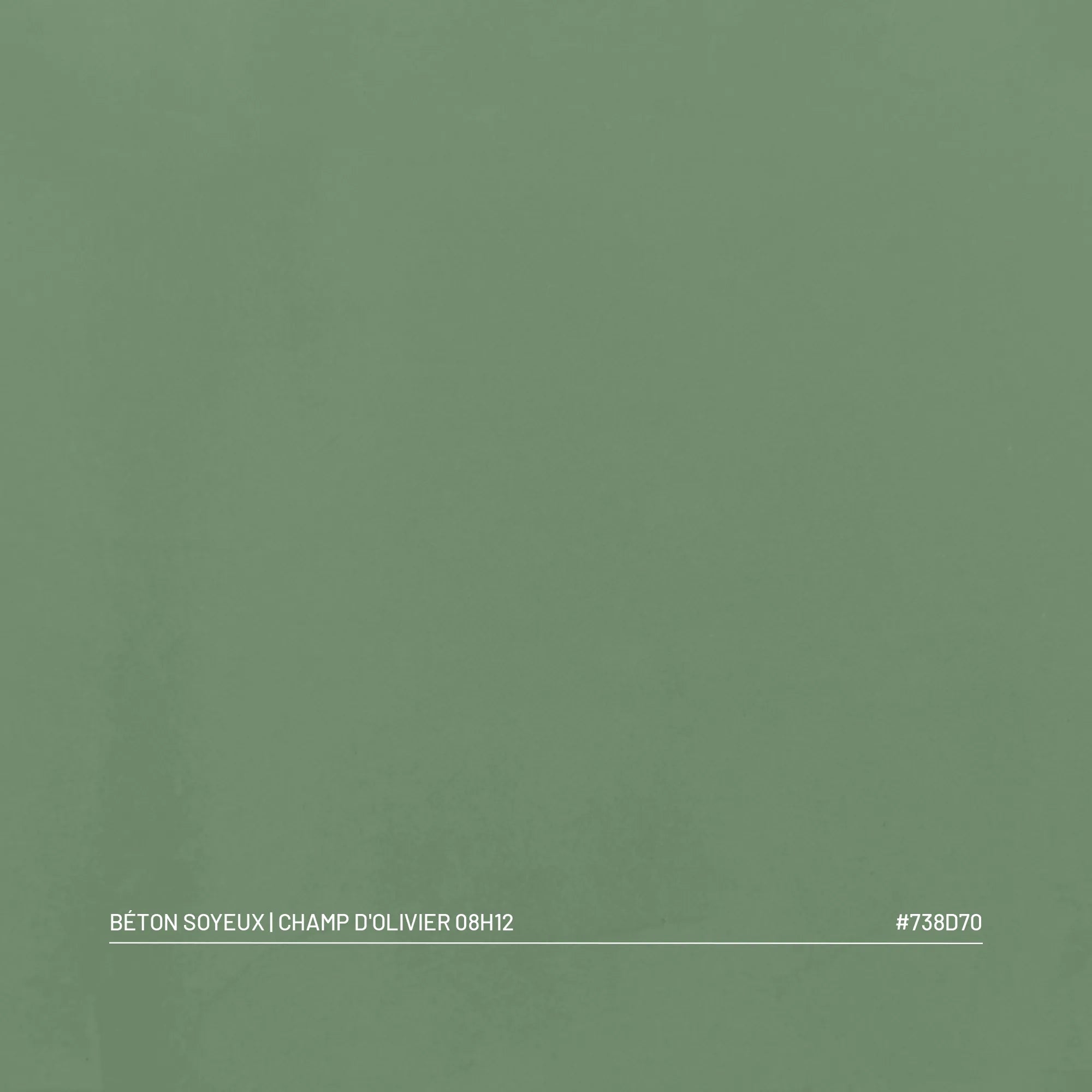 Kit Béton Soyeux | CHAMP D'OLIVIER