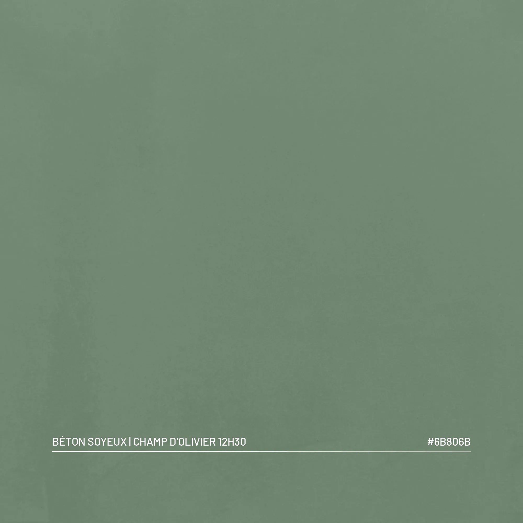 Kit Béton Soyeux | CHAMP D'OLIVIER