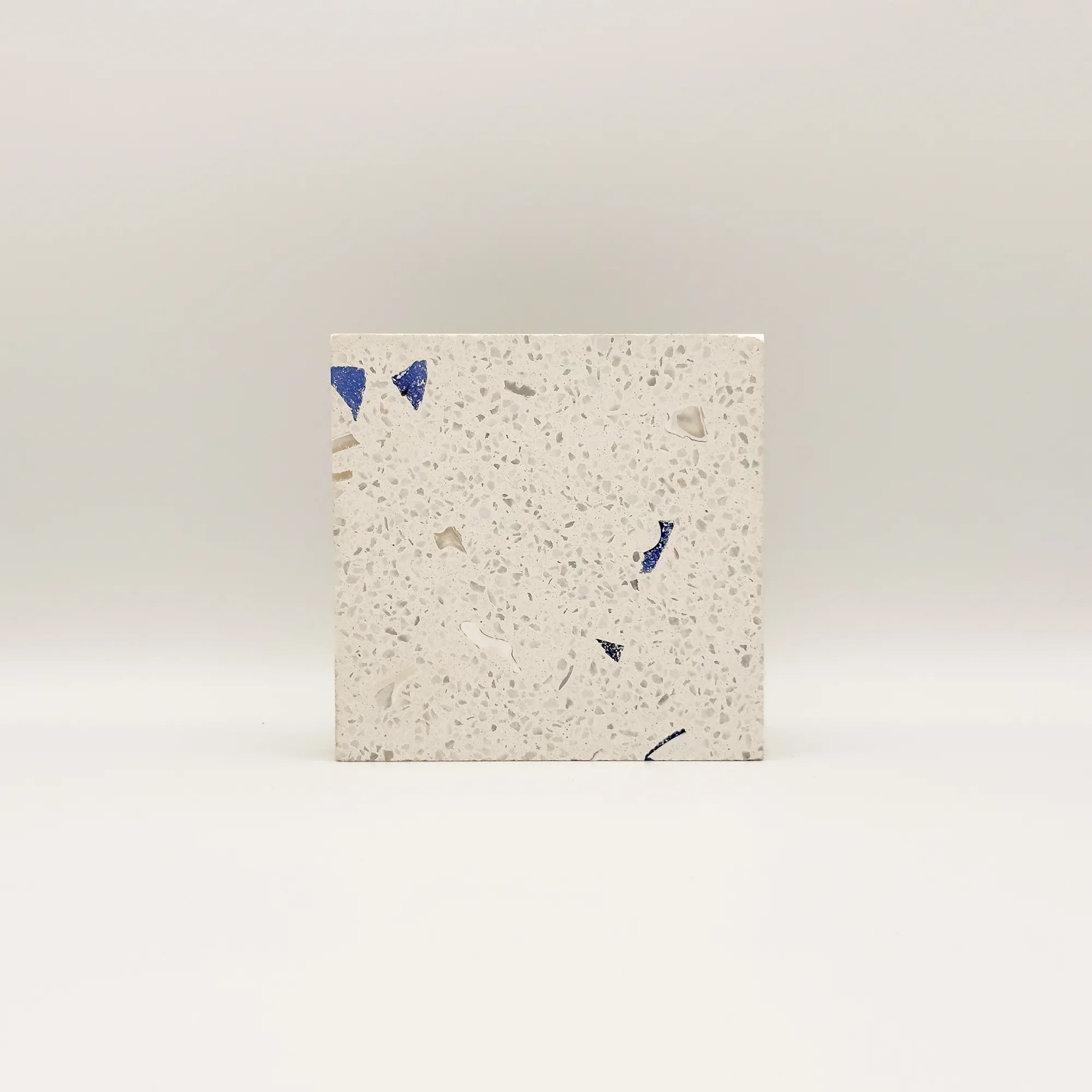 Échantillon Terrazzo