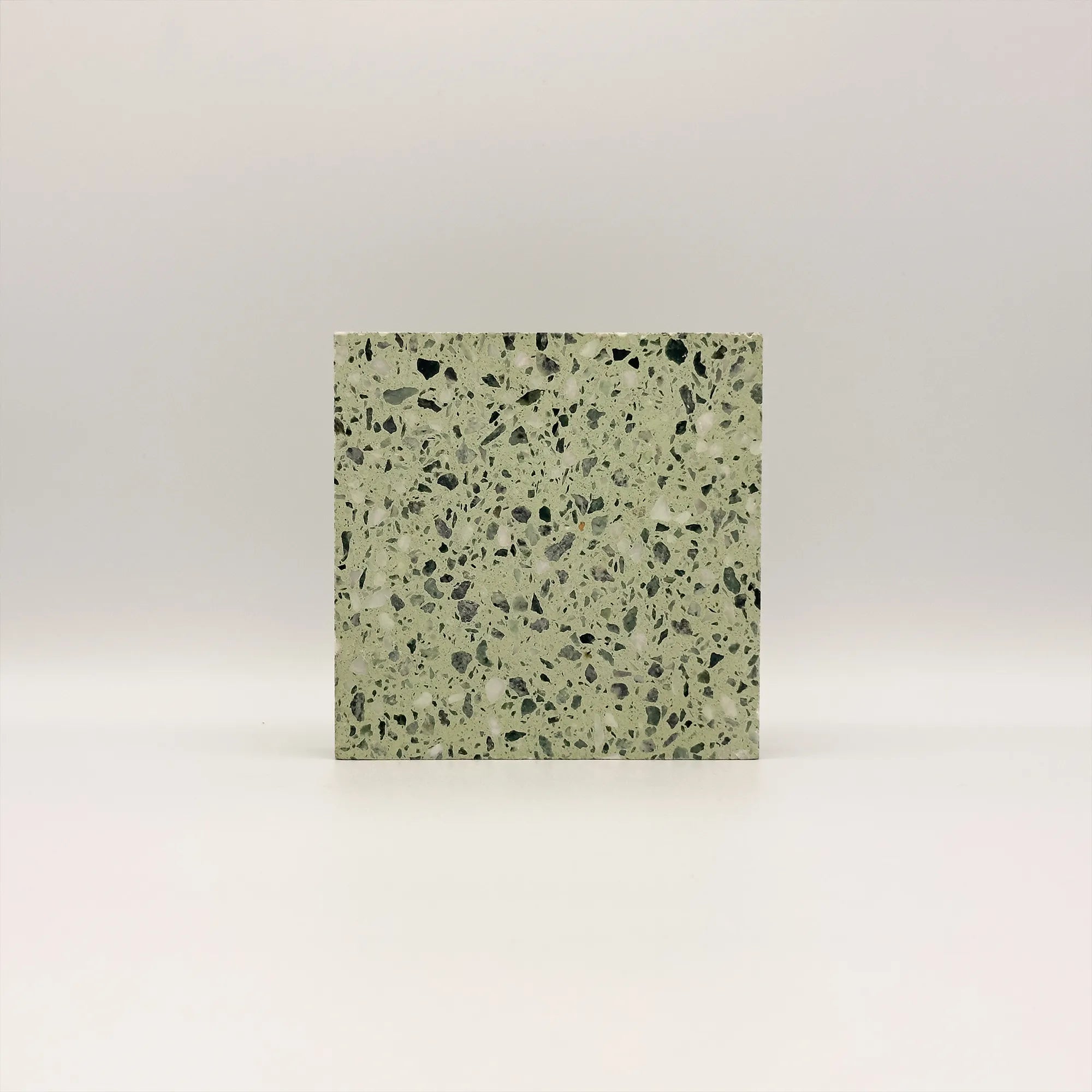 Échantillon Terrazzo